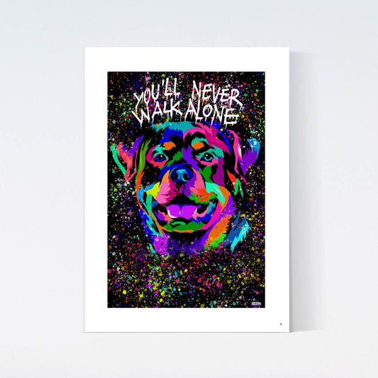 Färgglad Rottweiler Poster