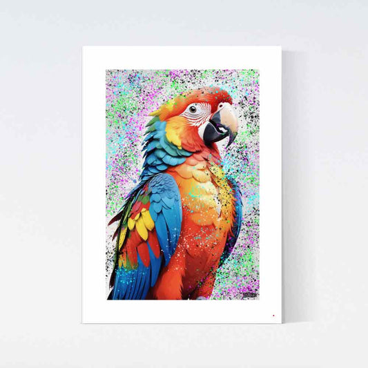 Färgglad Papegoja Poster
