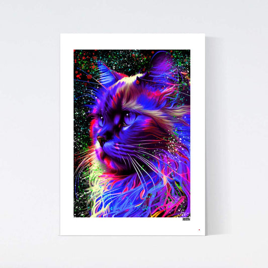 Färgglad Katt Poster