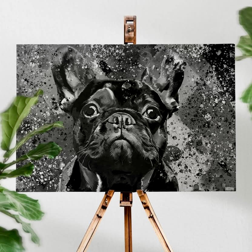 Svartvitt Fransk Bulldogg Canvas