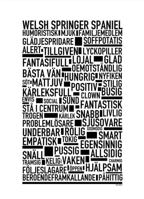 Welsh Springer Spaniel Text Poster