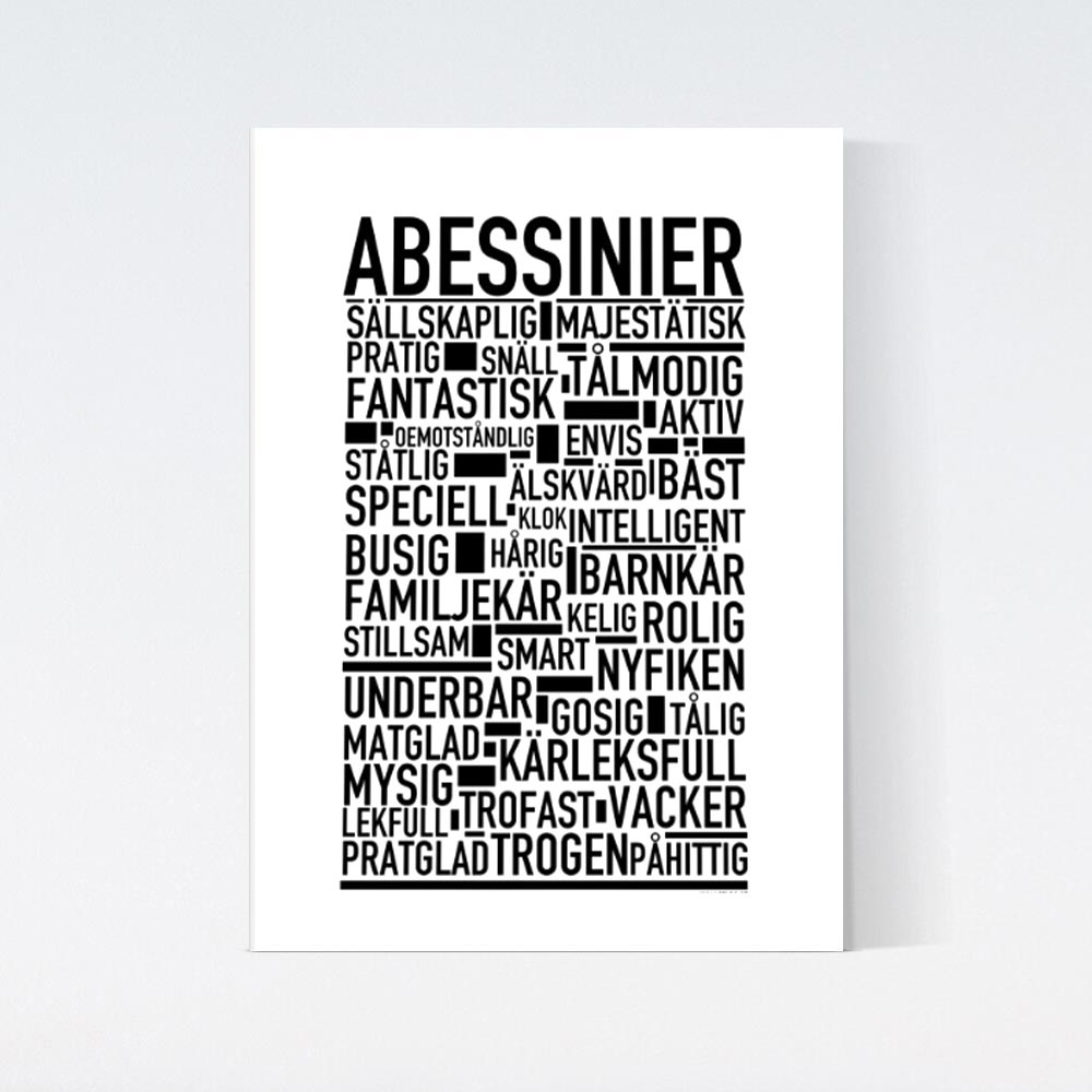 Abessinier Katt Poster