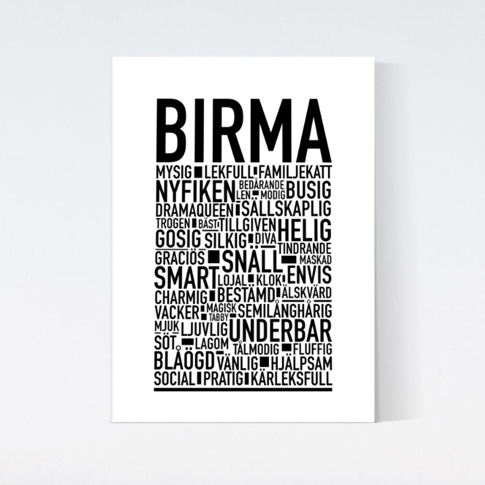 Birma Katt Poster