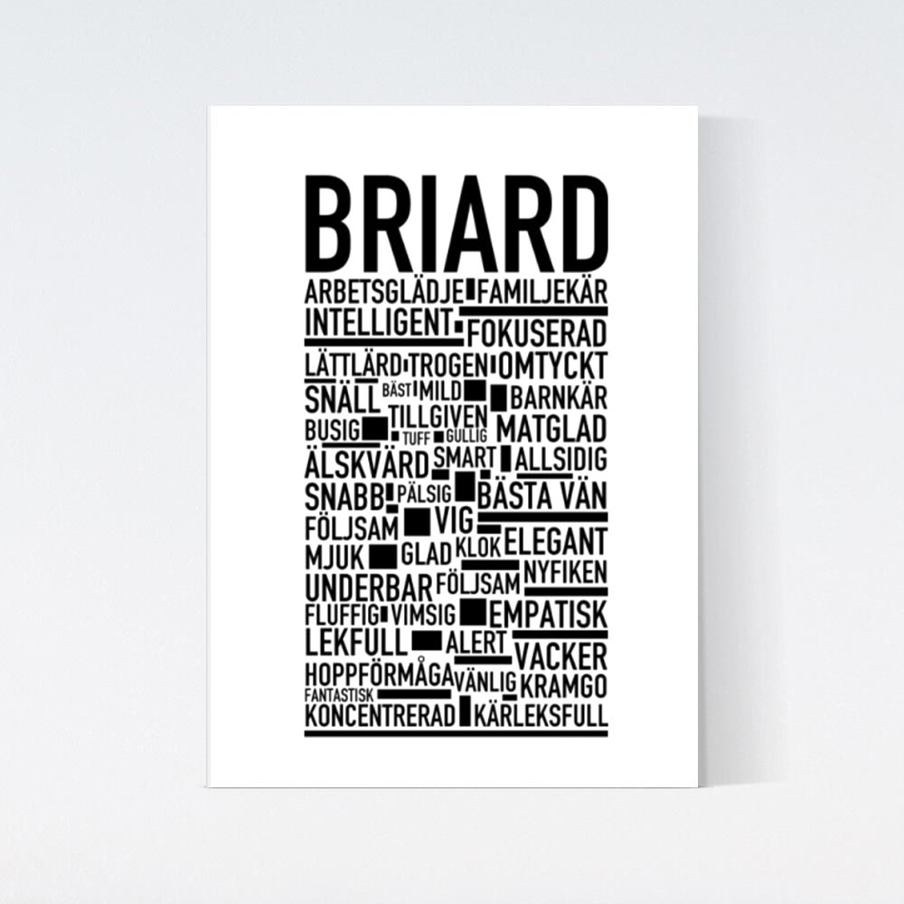 Briard Text Poster