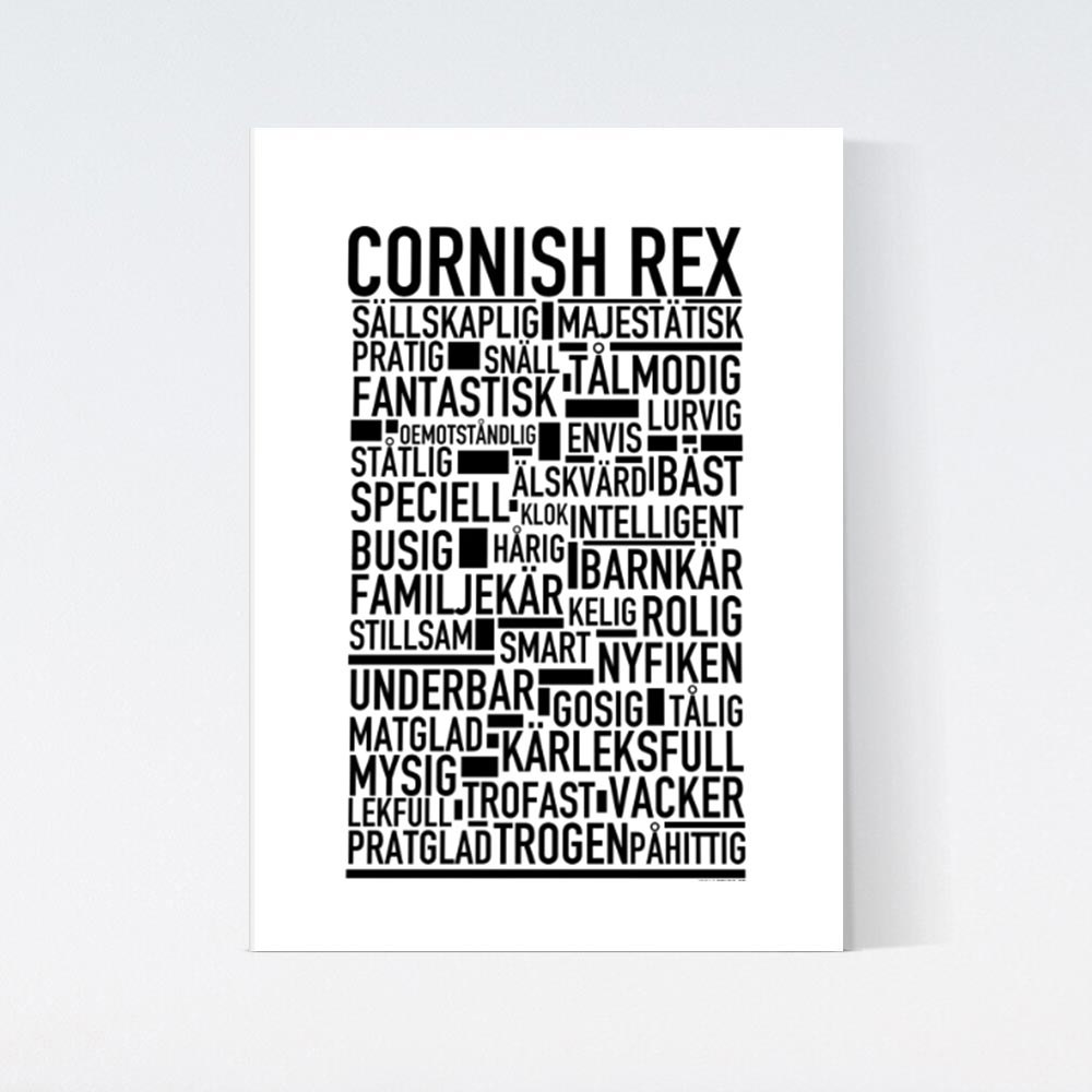 Cornish Rex Katt Poster