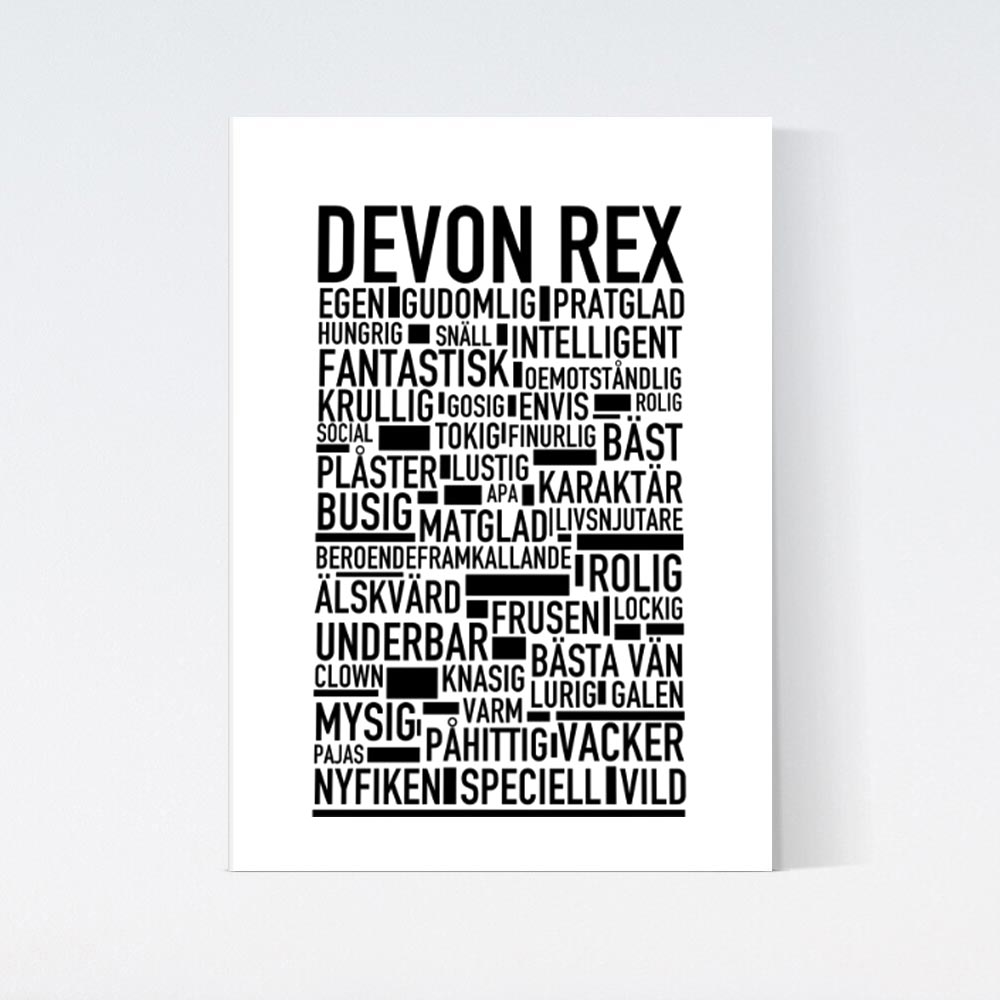 Devon Rex Katt Poster