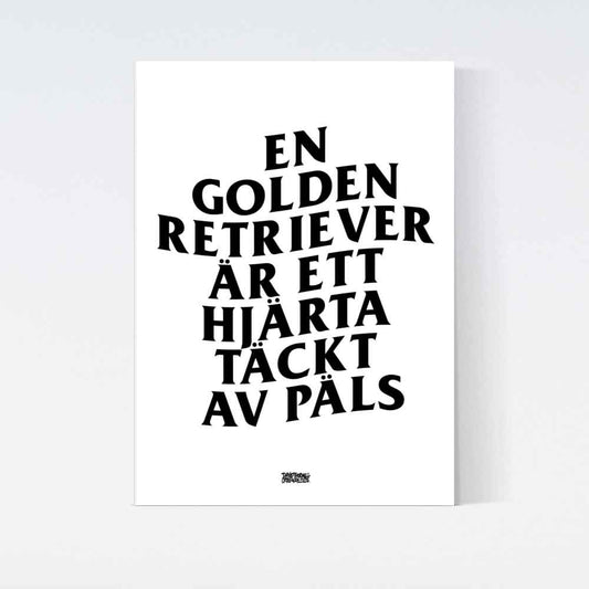 Golden Retriever Är Ett Hjärta Poster
