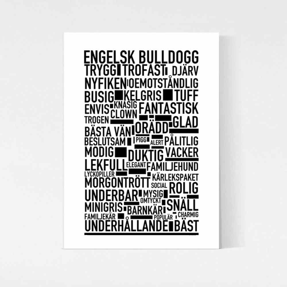 Engelsk Bulldogg Poster