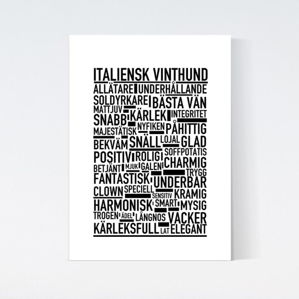 Italienskt Vinthund Text Poster