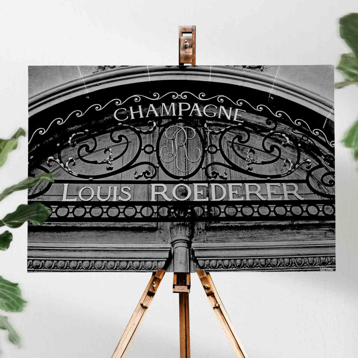 Louis Roederer Champagne Canvas