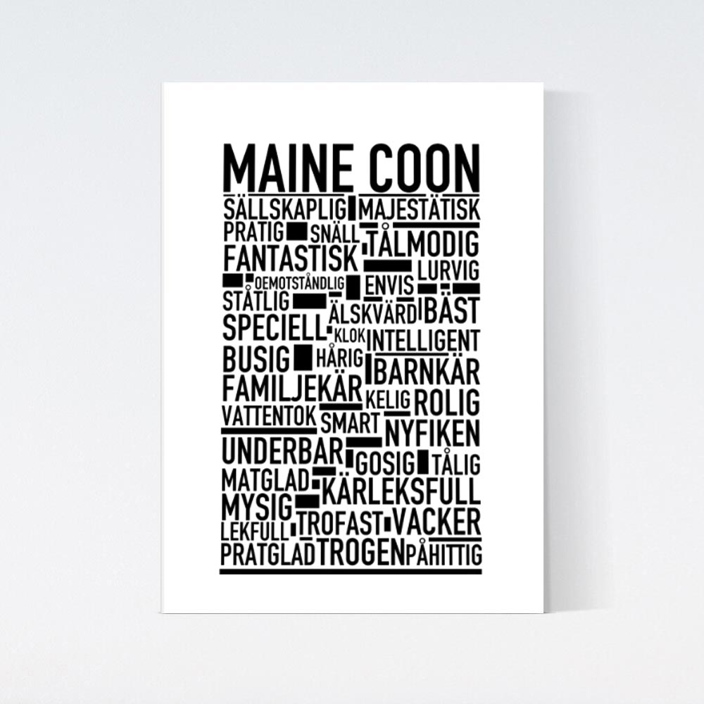 Maine Coon Katt Poster