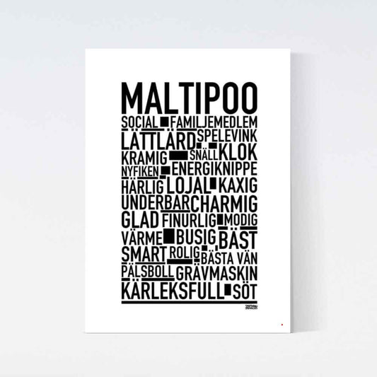 Maltipoo Text Poster