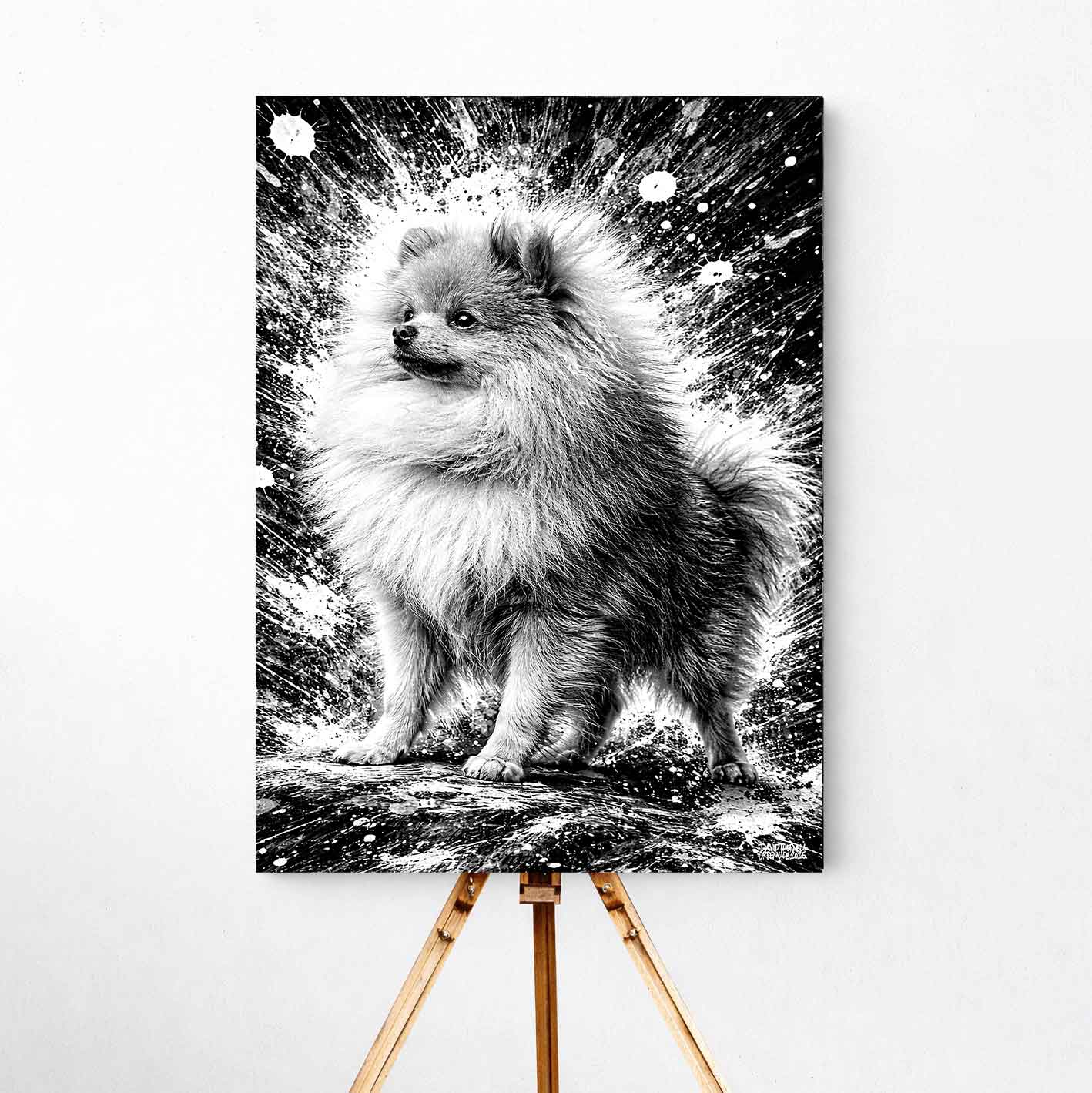Pomeranian Canvas