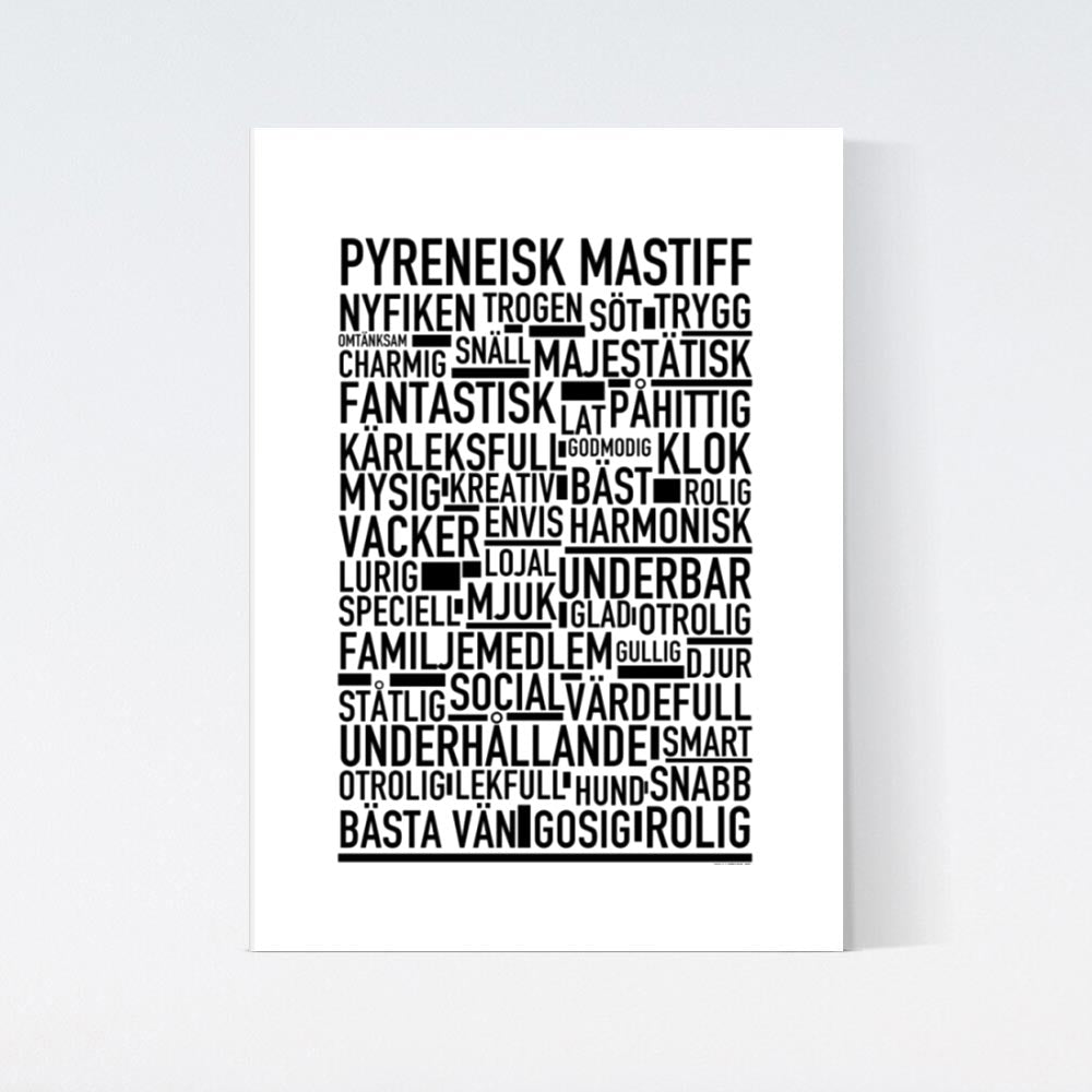 Pyreneisk Mastiff Text Poster