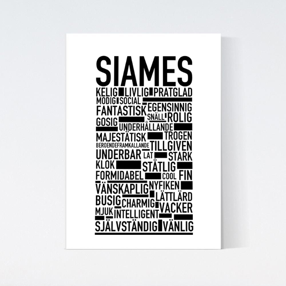 Siames Katt Poster