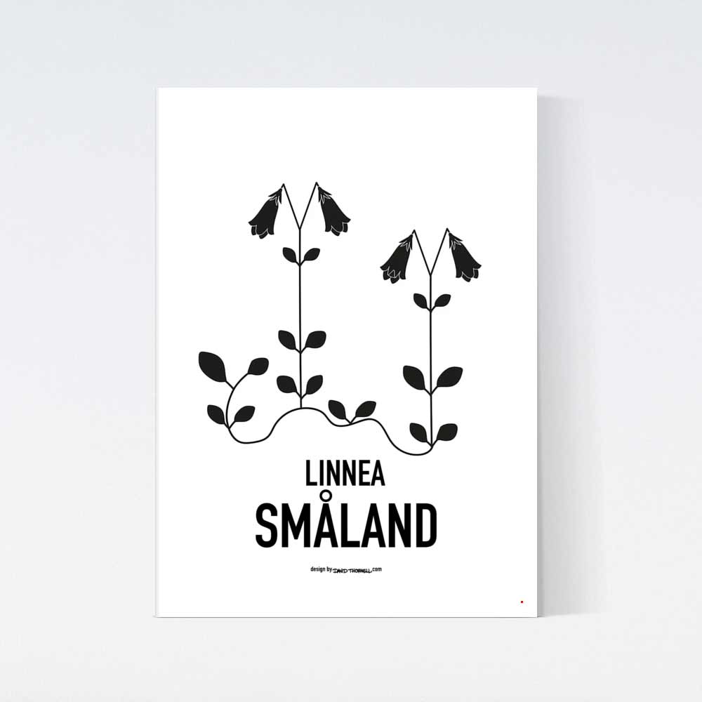 Smålands Landskapsblomma Linnea Poster