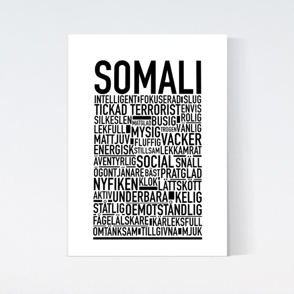 Somali Katt Poster