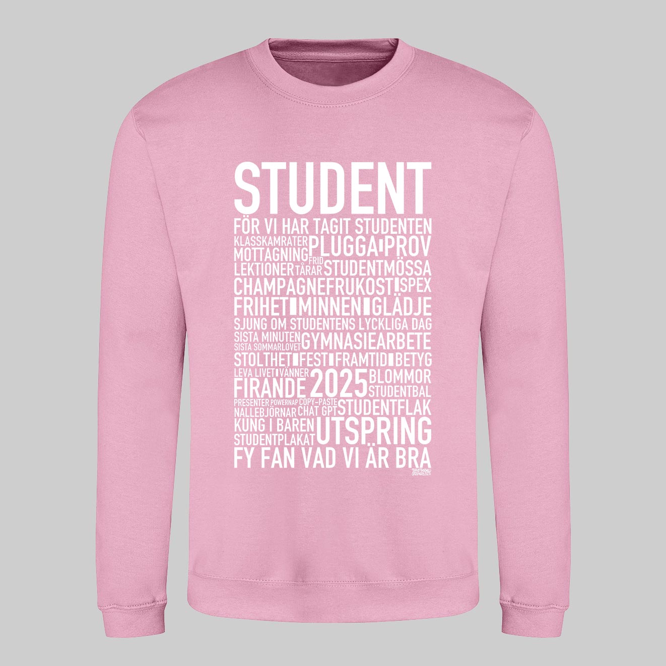 Student 2025 Text Sweatshirt