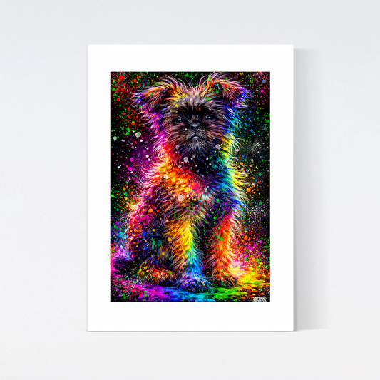 Affenpinscher Färgglad Poster