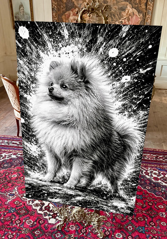 Pomeranian Canvastavla 80x120cm