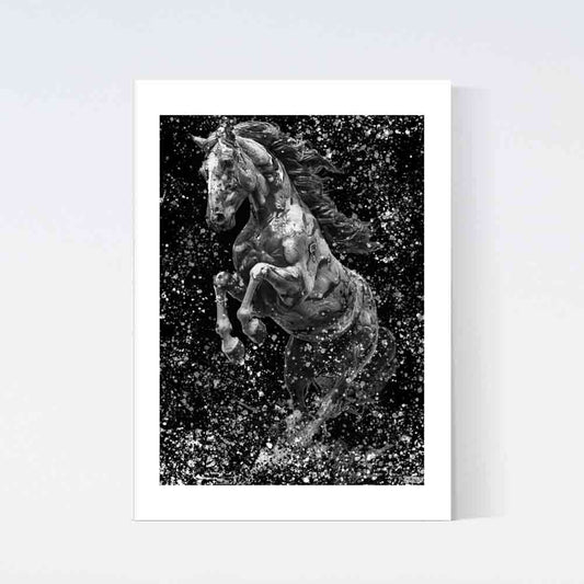 Flying Horse Black & White Poster