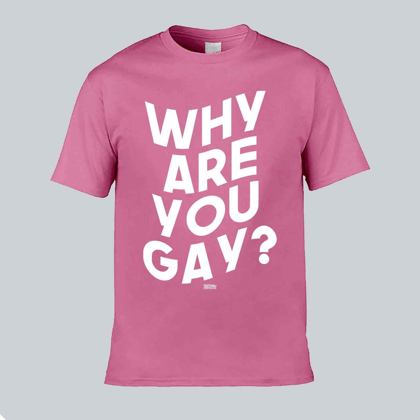 Why Are You Gay? T-shirt