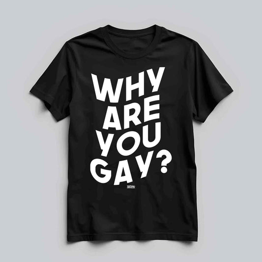 Why Are You Gay? T-shirt
