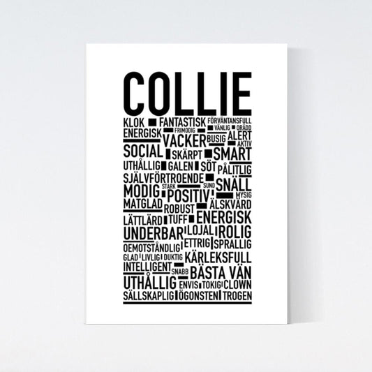 Collie Text Poster