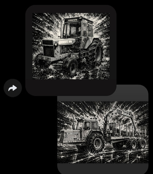 2 st canvastavlor 80x120cm