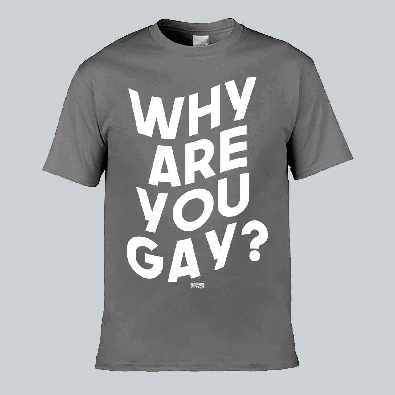 Why Are You Gay? T-shirt