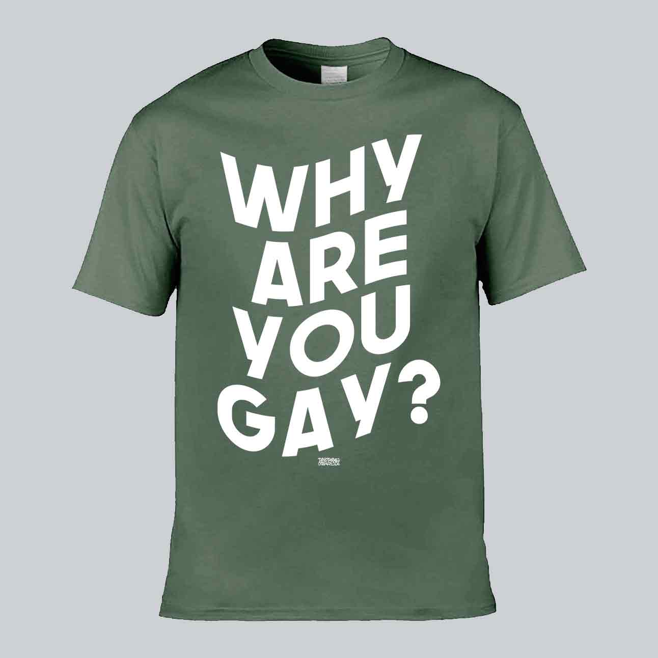 Why Are You Gay? T-shirt