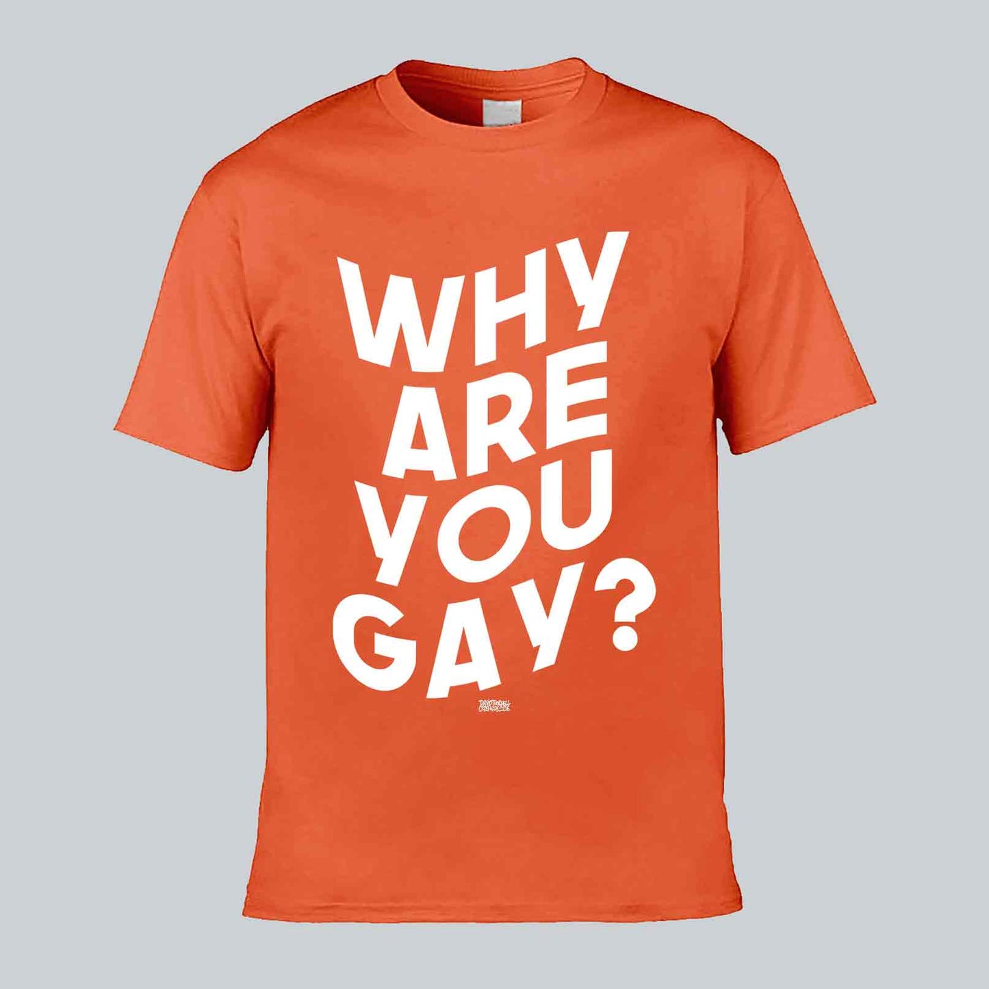 Why Are You Gay? T-shirt
