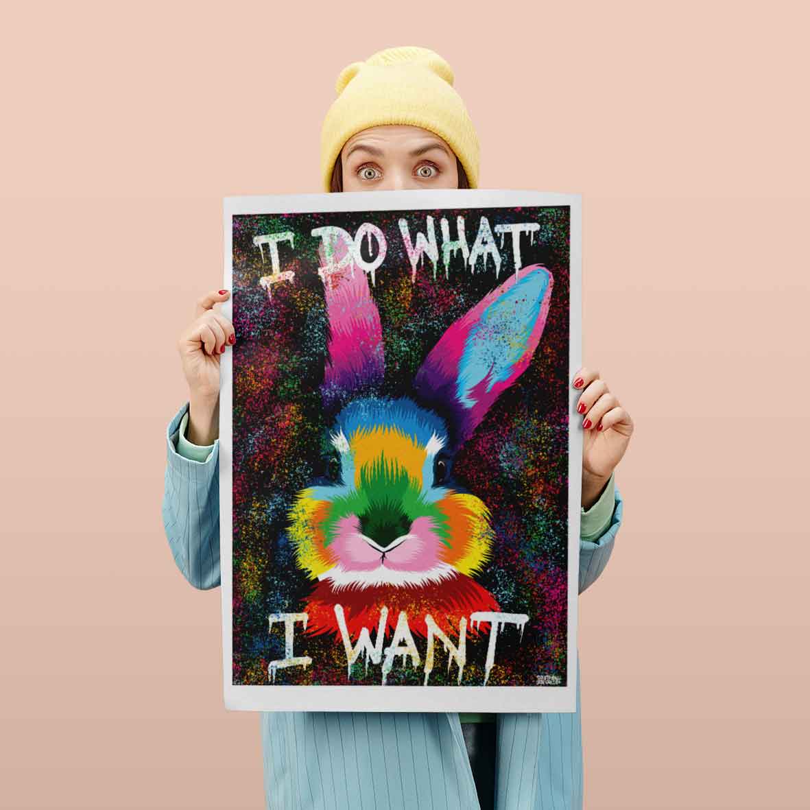 Färgglad Kanin Poster