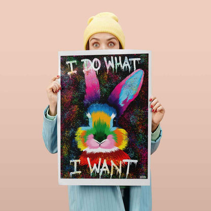 Färgglad Kanin Poster