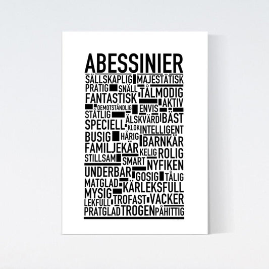 Abessinier Katt Poster