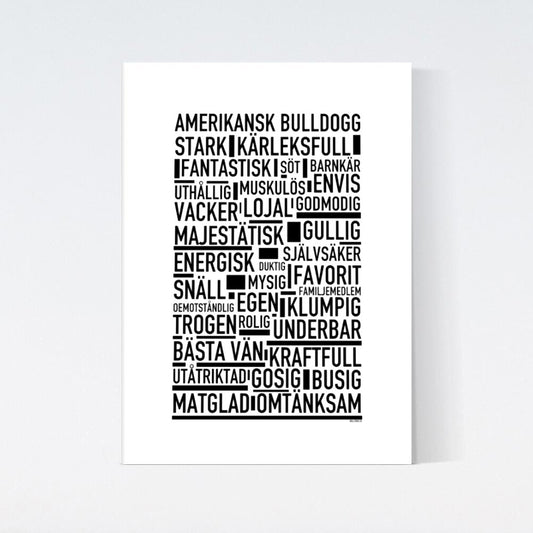 Amerikansk Bulldogg Text Poster