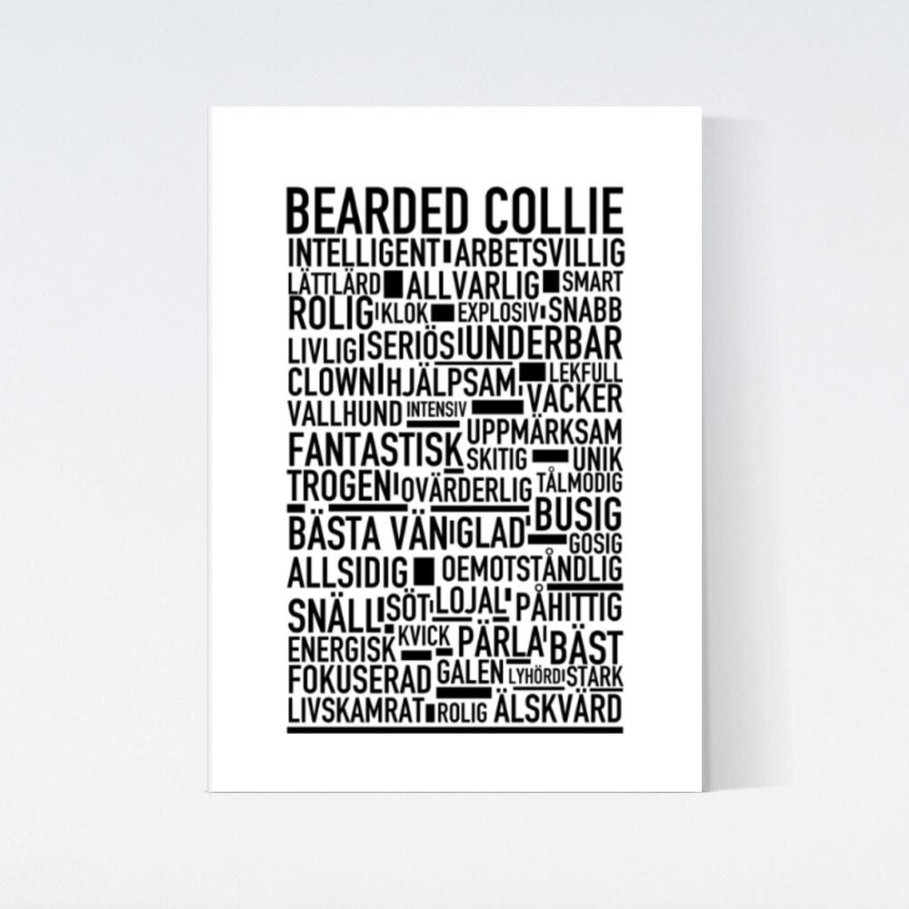 Bearded Collie Text Poster