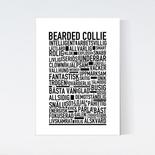 Bearded Collie Text Poster