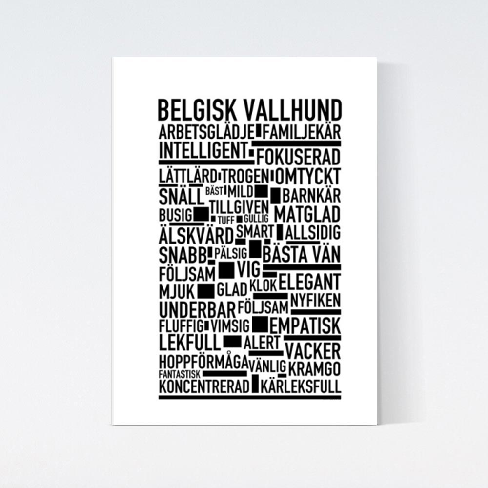 Belgisk Vallhund Text Poster