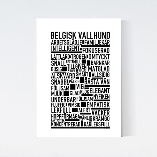 Belgisk Vallhund Text Poster