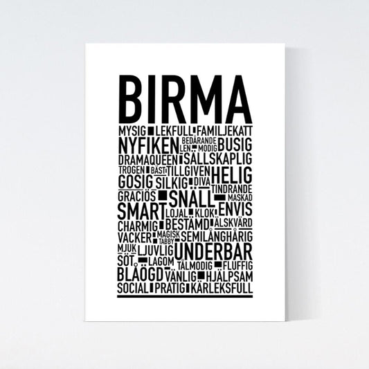 Birma Katt Poster