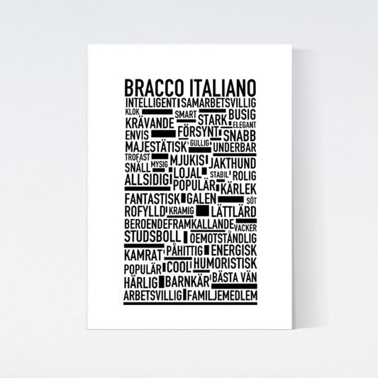 Bracco Italiano Text Poster
