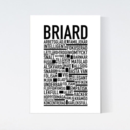 Briard Text Poster