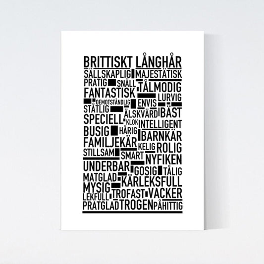 Brittiskt Långhår Katt Poster