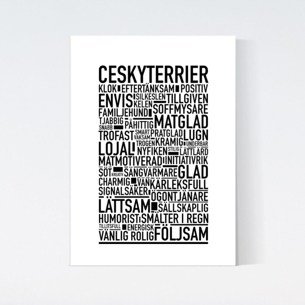 Ceskyterrier Text Poster