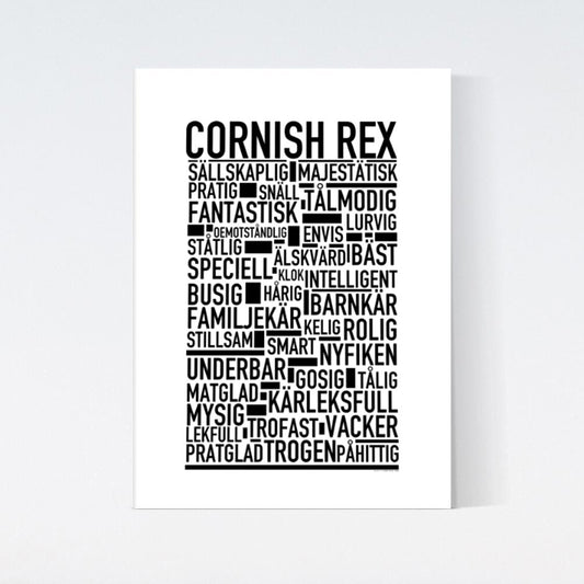 Cornish Rex Katt Poster