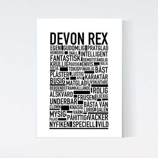 Devon Rex Katt Poster