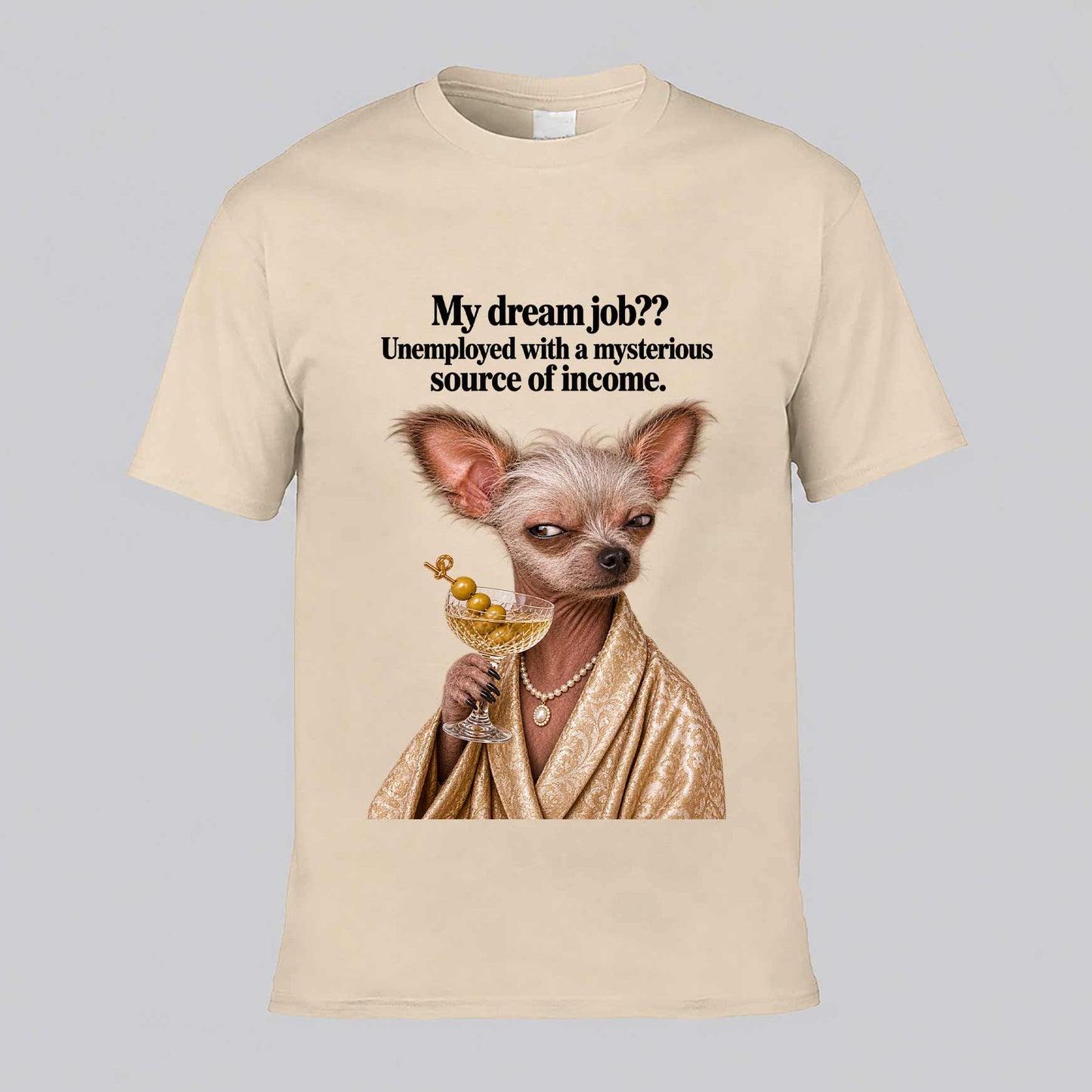 My Dream Job? T-shirt