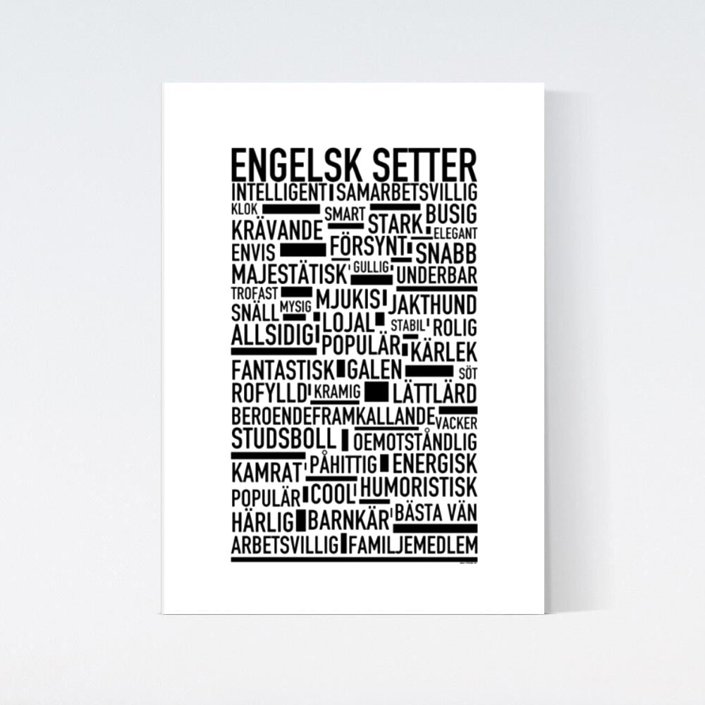 Engelsk Setter Text Poster