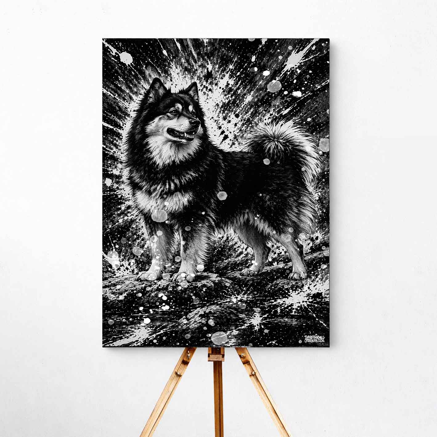 Finsk Lapphund Canvas